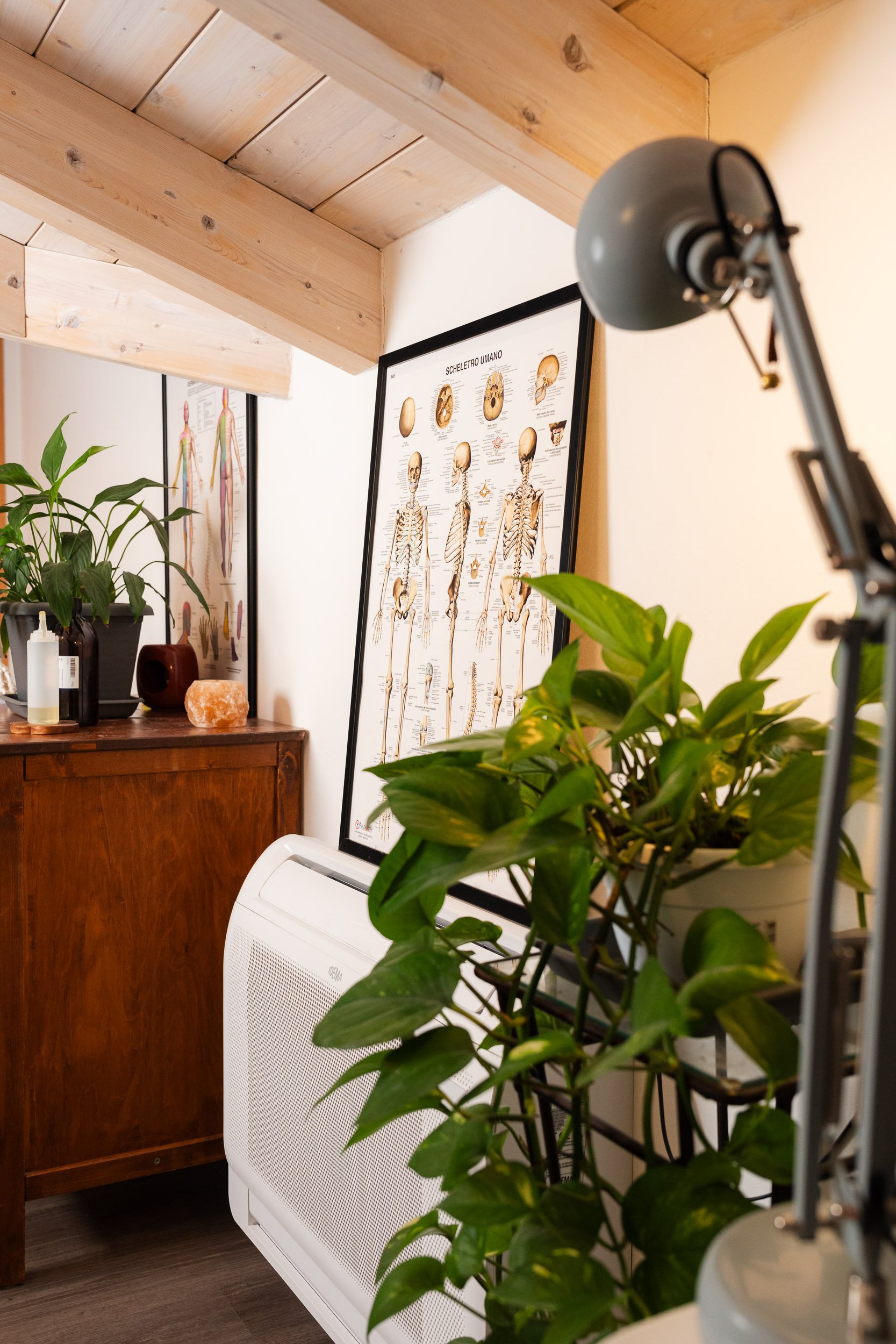Interior of a room with wooden ceiling, a framed human skeleton chart on the wall, a potted plant, a wooden cabinet with small plants and salt lamp, and a desk lamp.