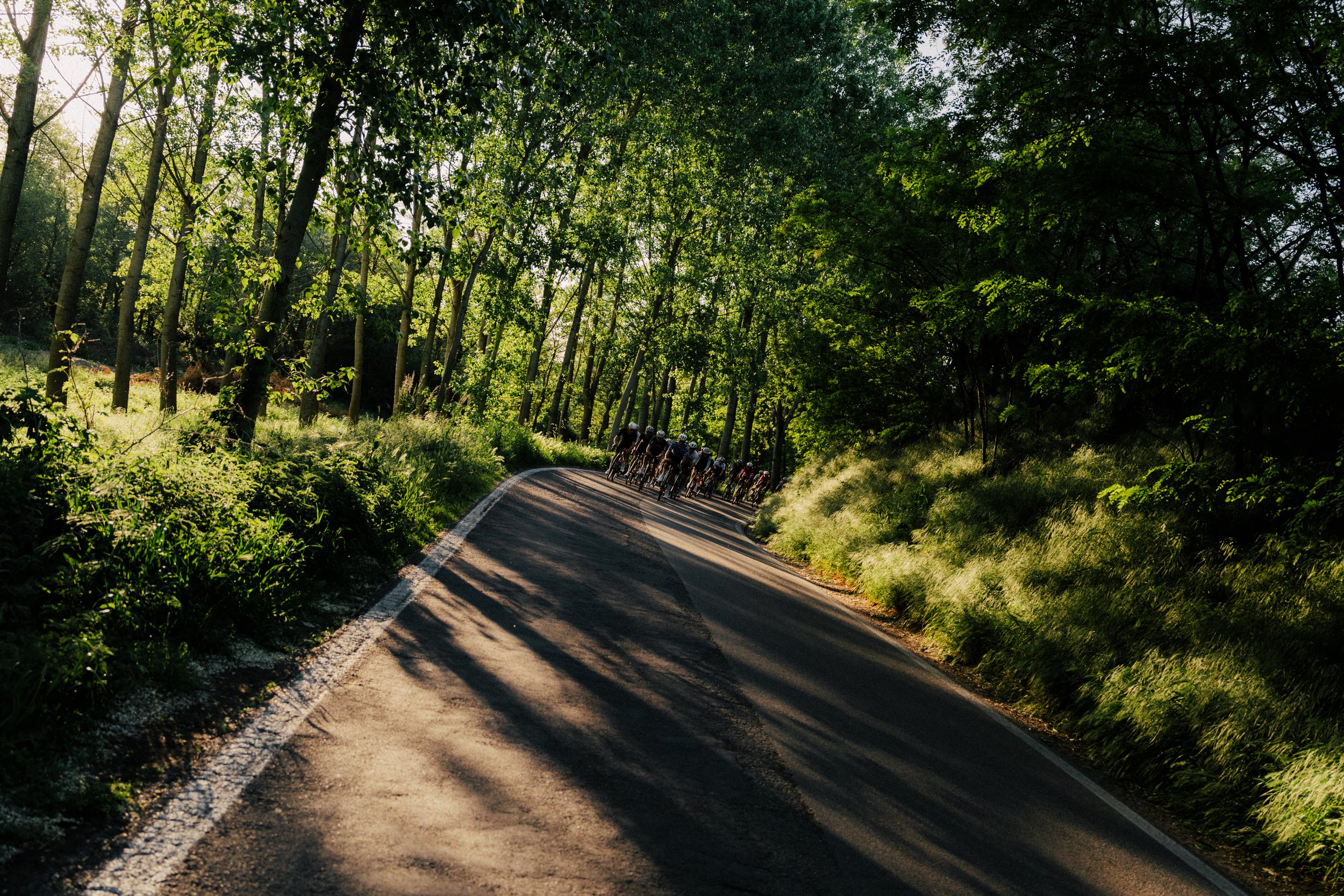 milliondreams-ride-61.jpg